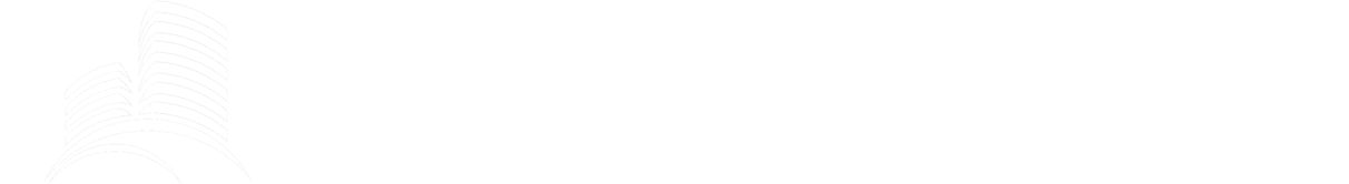 StroyTop logo